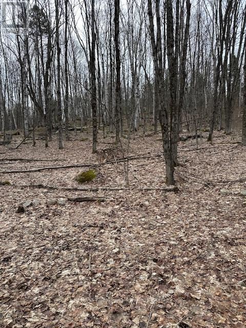 0 PROVIDENCE DRIVE, Algonquin Highlands, Ontario