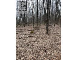 0 PROVIDENCE DRIVE, Algonquin Highlands, Ontario