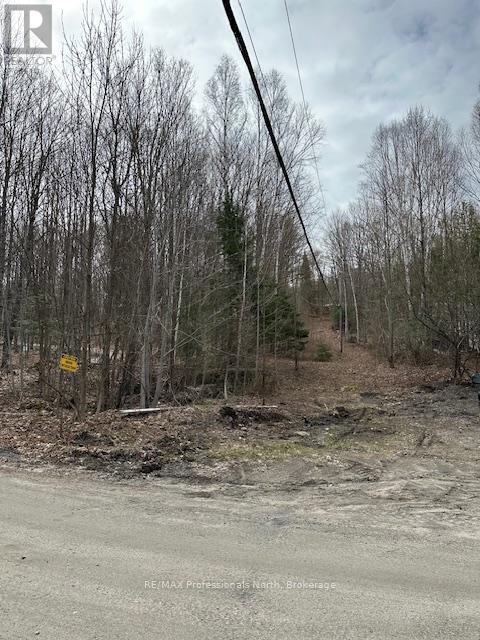 0 Providence Drive, Algonquin Highlands, Ontario  K0M 1S0 - Photo 7 - X12929084