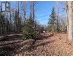 11146 HIGHWAY 118, Algonquin Highlands, Ontario