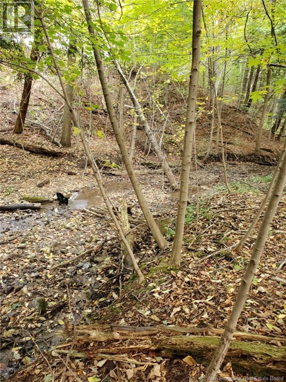 Lot 2 Thompson Road, Kierstead Mountain, New Brunswick  E5P 1X3 - Photo 4 - NB138441