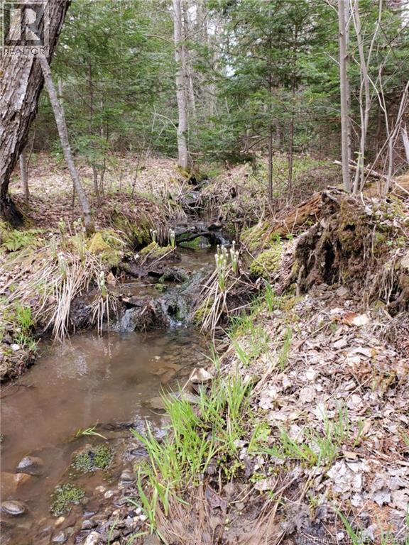 Lot 2 Thompson Road, Kierstead Mountain, New Brunswick