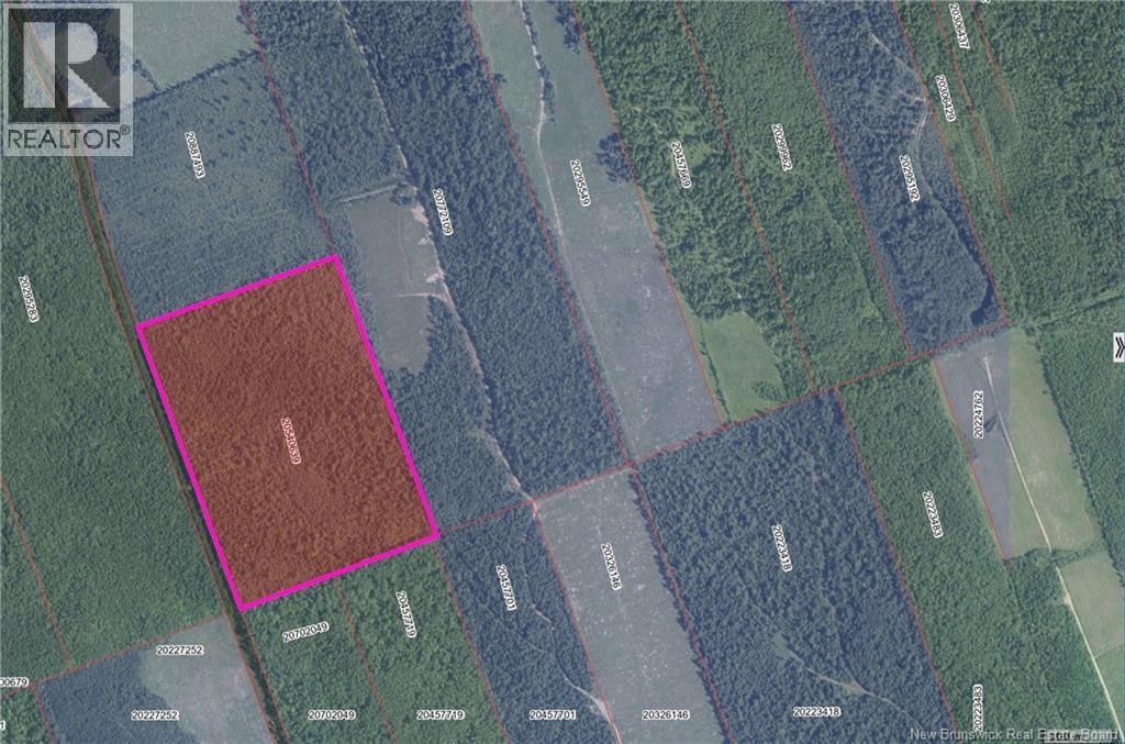 Lot Butte-D'or, Saint-Sauveur, New Brunswick  E8L 1M7 - Photo 1 - NB138474