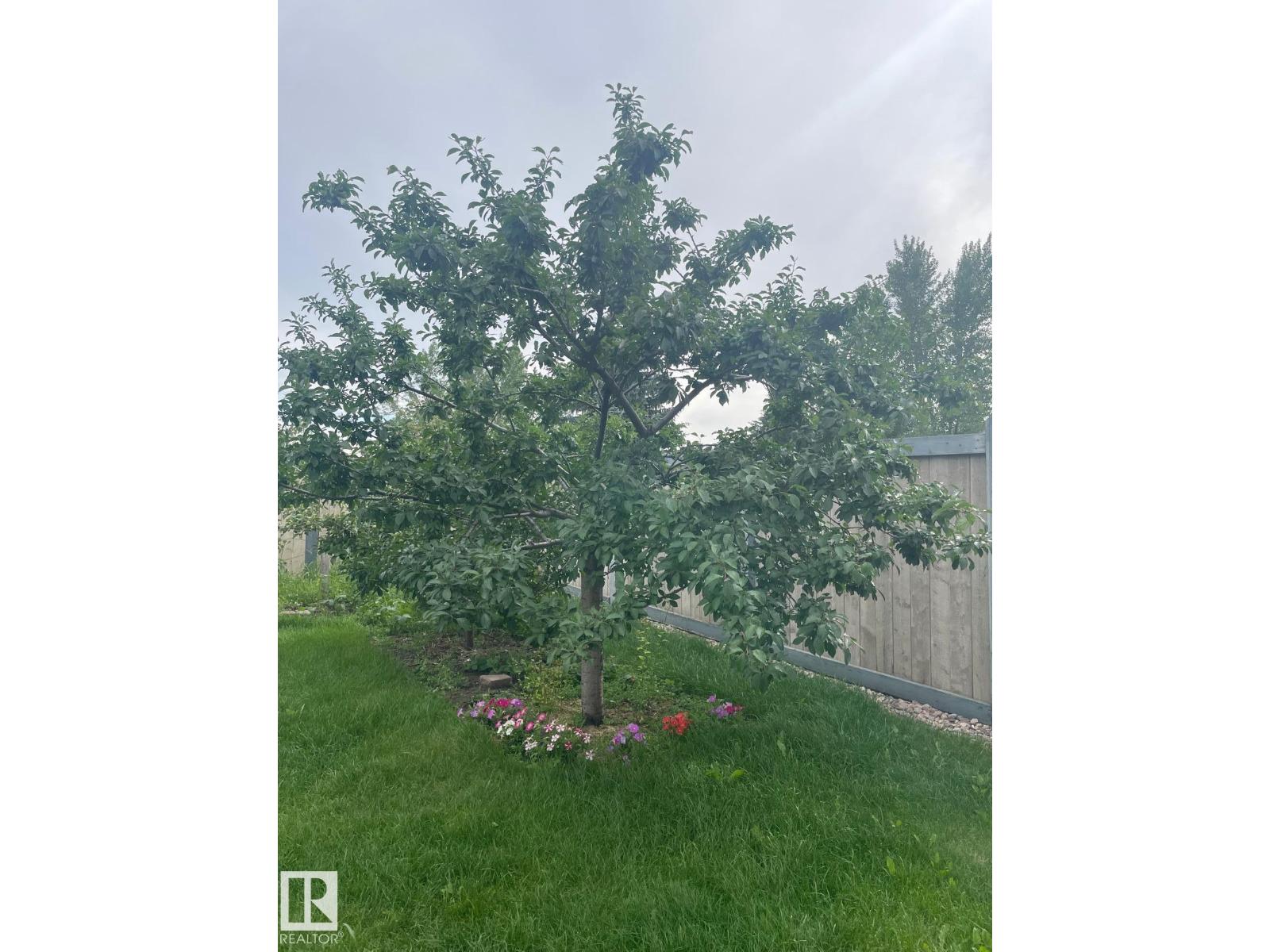 4811 152 Av Nw, Edmonton, Alberta  T5Y 3B8 - Photo 61 - E4483066