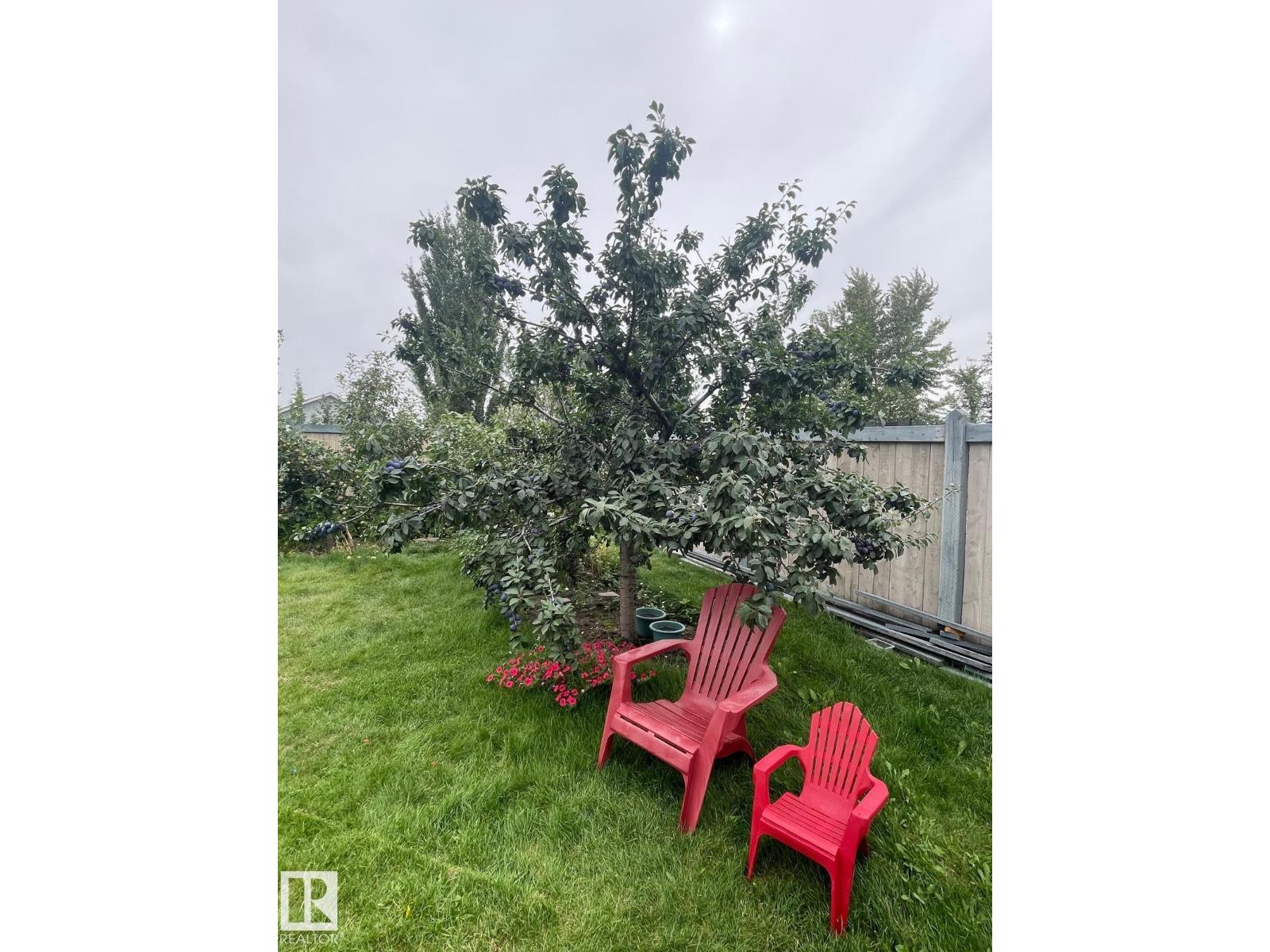4811 152 Av Nw, Edmonton, Alberta  T5Y 3B8 - Photo 59 - E4483066