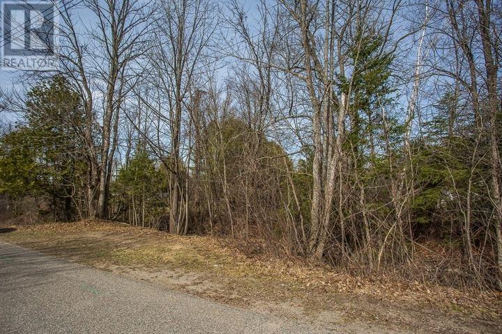 Spring St, Richards Landing, Ontario  P0R 1J0 - Photo 8 - SM260811