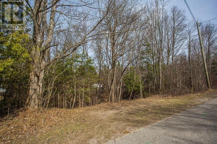 Spring St, Richards Landing, Ontario  P0R 1J0 - Photo 9 - SM260811