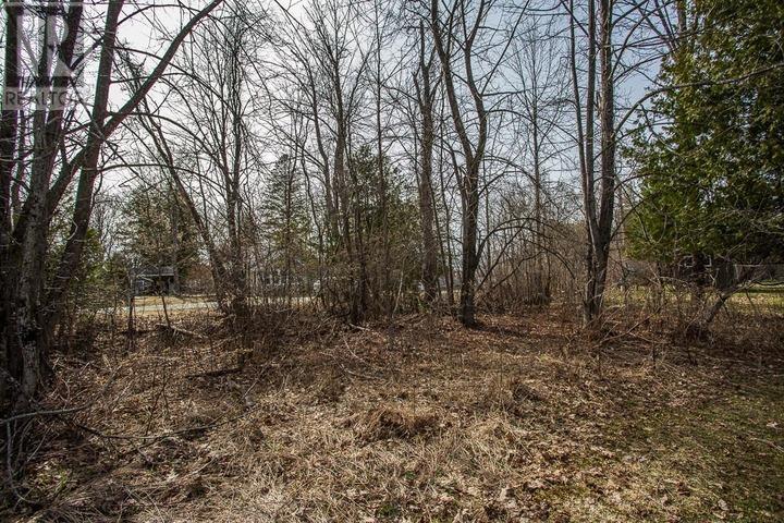 Spring St, Richards Landing, Ontario  P0R 1J0 - Photo 5 - SM260811
