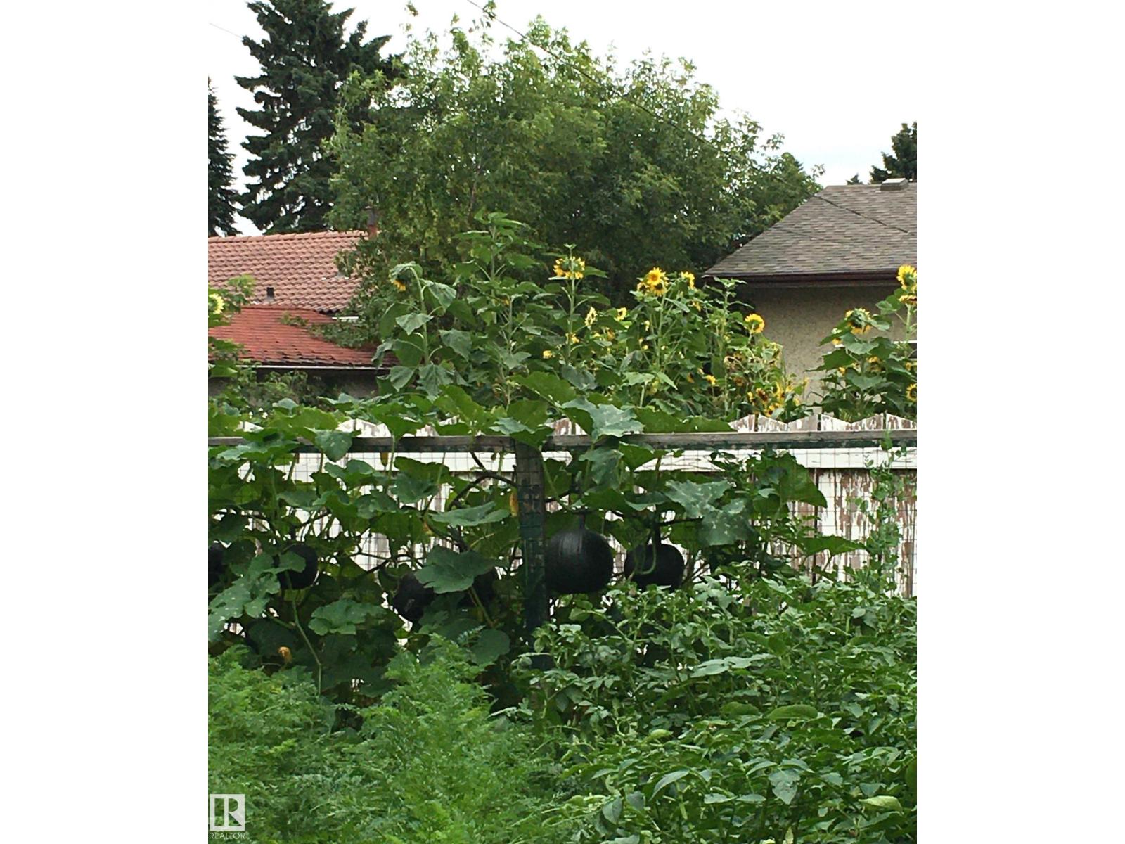 4607 104 Av Nw, Edmonton, Alberta  T6A 0X3 - Photo 56 - E4485238