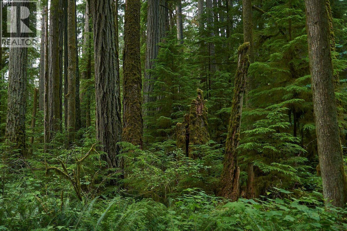 Lot 15 Kimsquit, Bella Coola, British Columbia  V0T 0A7 - Photo 2 - R3118321