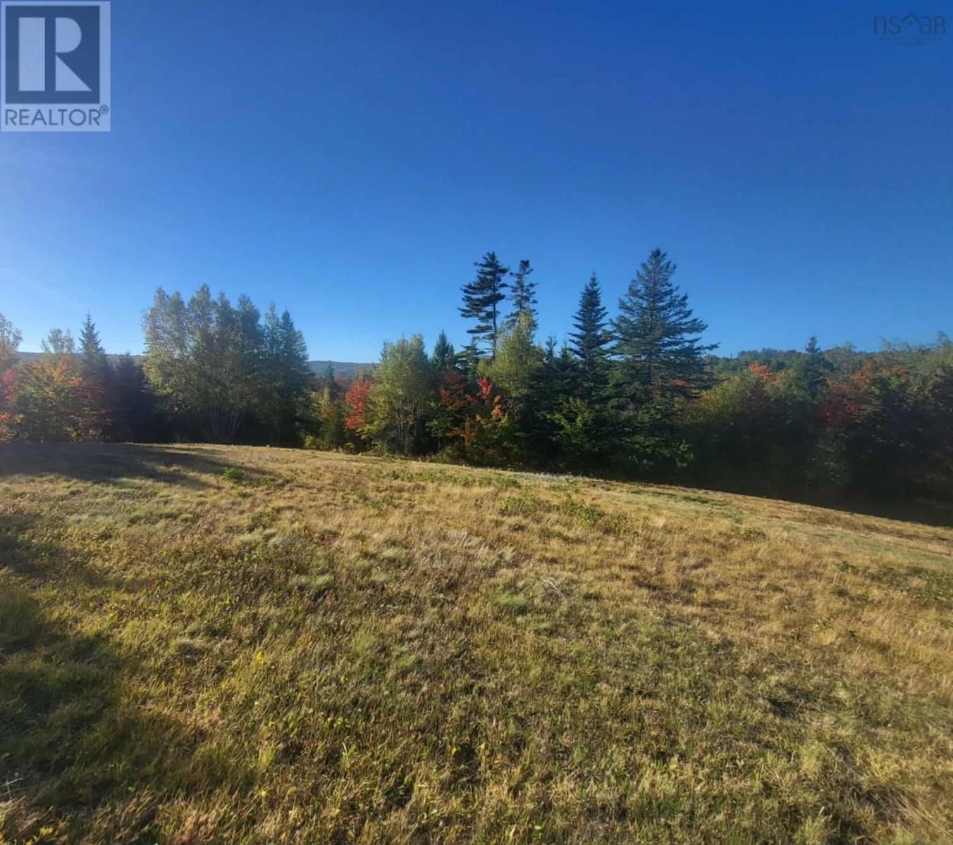 Lot 3a 9384 Highway 4, French River, Nova Scotia  B0K 1V0 - Photo 19 - 202526814