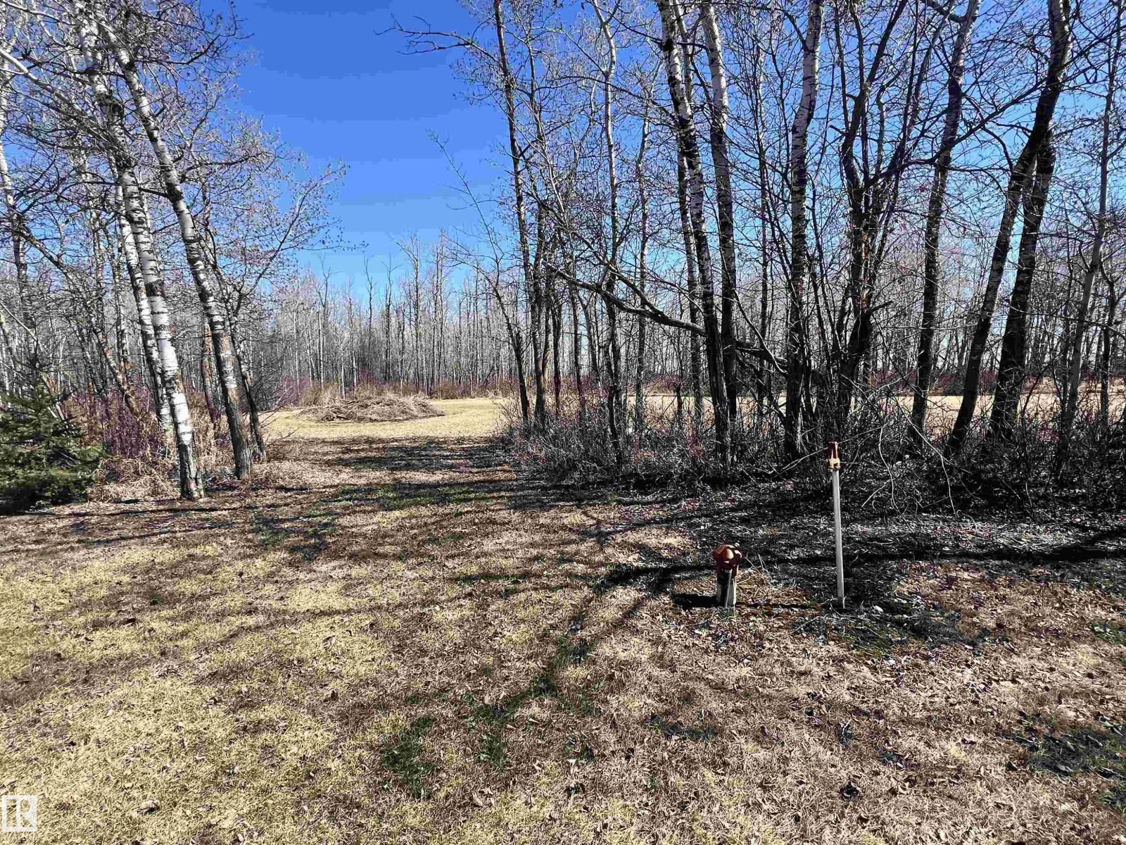 25210 Twp Road 562, Rural Sturgeon County, Alberta  T8R 2P4 - Photo 18 - E4485241