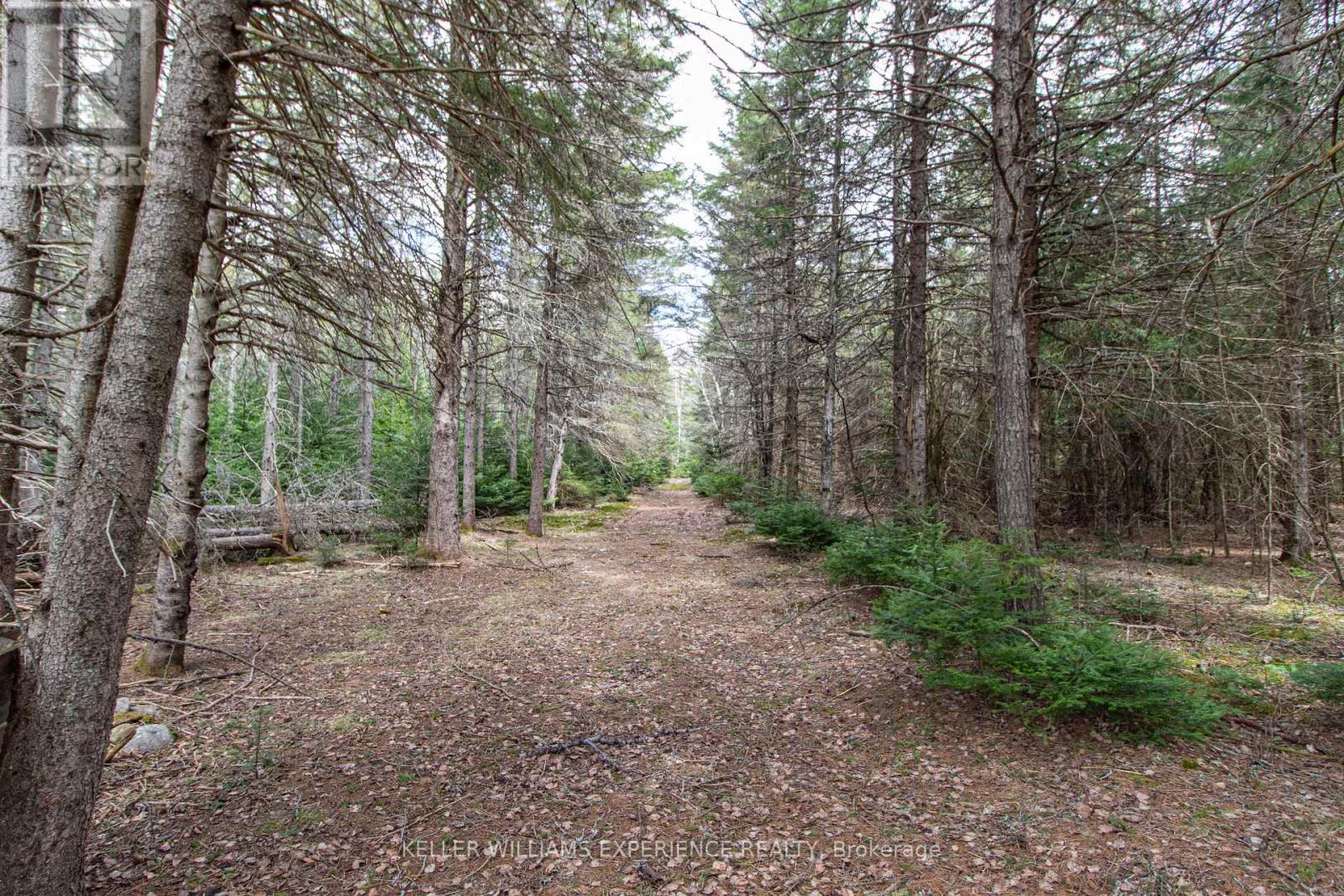 213 Yearley Road, Mcmurrich/monteith, Ontario  P0A 1Y0 - Photo 46 - X13070520