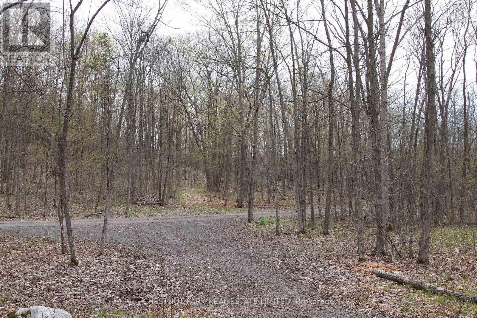 12195 Loyalist Parkway, Prince Edward County, Ontario  K0K 2T0 - Photo 31 - X13070694