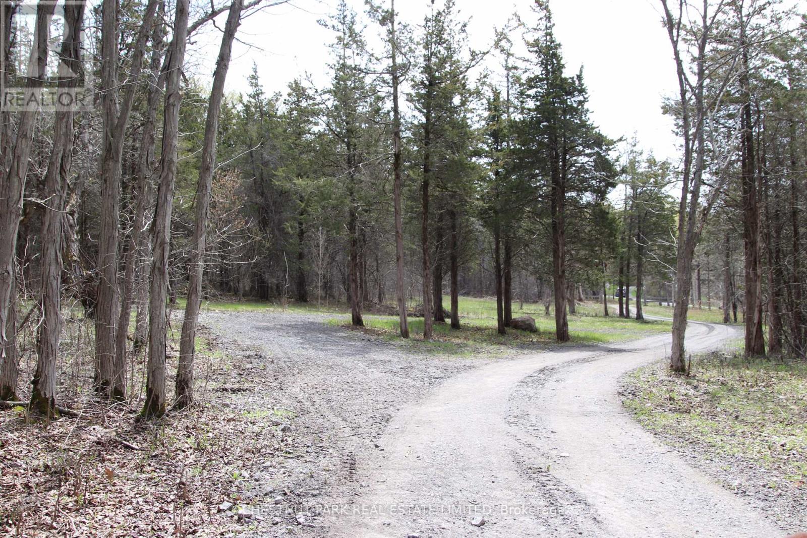 12195 Loyalist Parkway, Prince Edward County, Ontario  K0K 2T0 - Photo 35 - X13070694