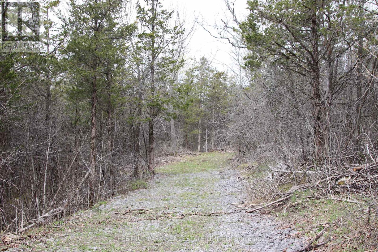 12195 Loyalist Parkway, Prince Edward County, Ontario  K0K 2T0 - Photo 37 - X13070694