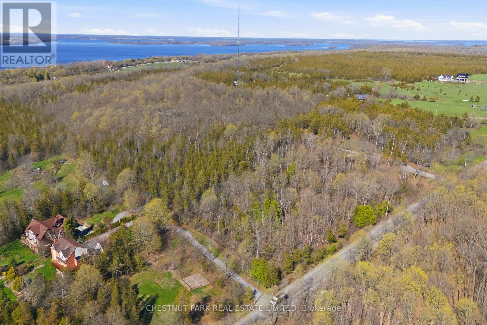 12195 Loyalist Parkway, Prince Edward County, Ontario  K0K 2T0 - Photo 5 - X13070694