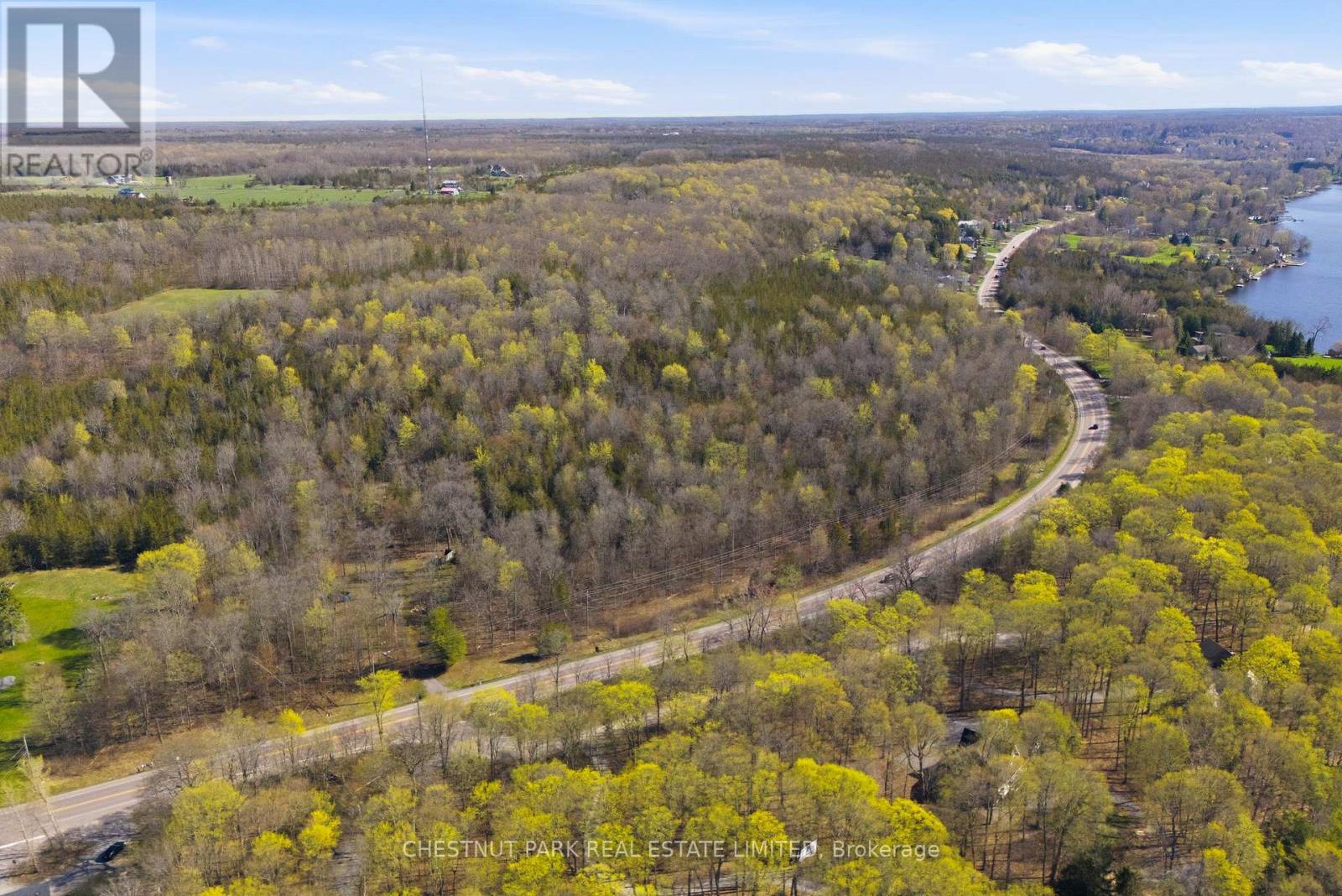 12195 Loyalist Parkway, Prince Edward County, Ontario  K0K 2T0 - Photo 6 - X13070694