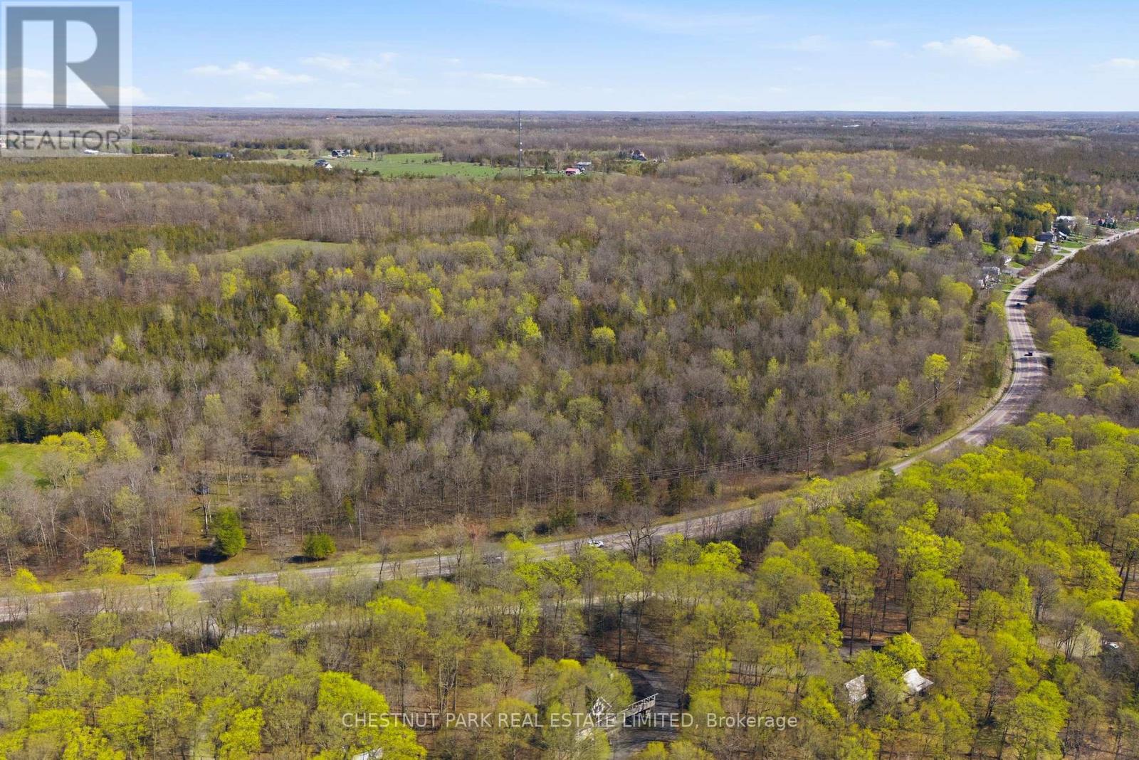 12195 Loyalist Parkway, Prince Edward County, Ontario  K0K 2T0 - Photo 7 - X13070694