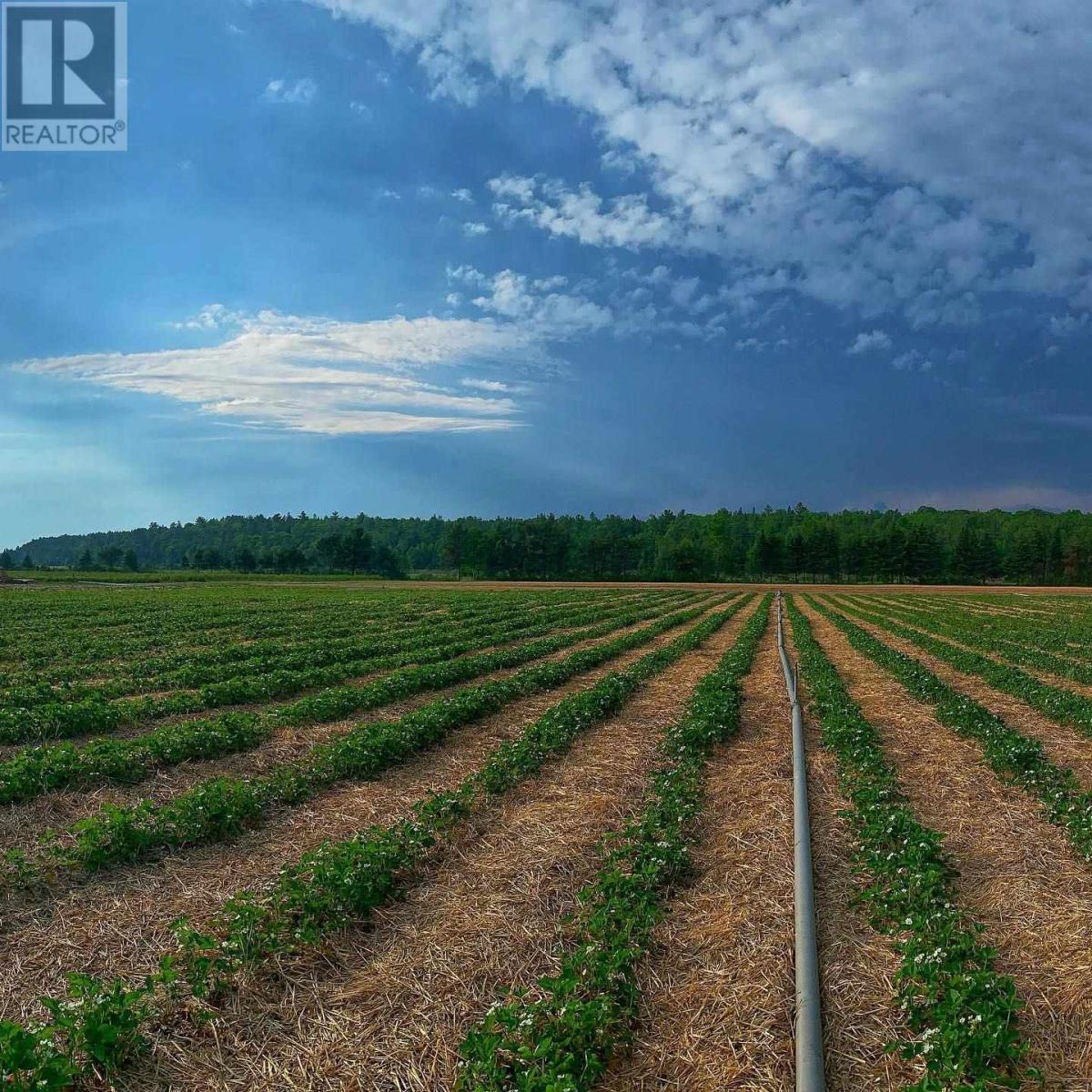 46 Collver Rd, Thessalon, Ontario  P0R 1L0 - Photo 26 - SM260801