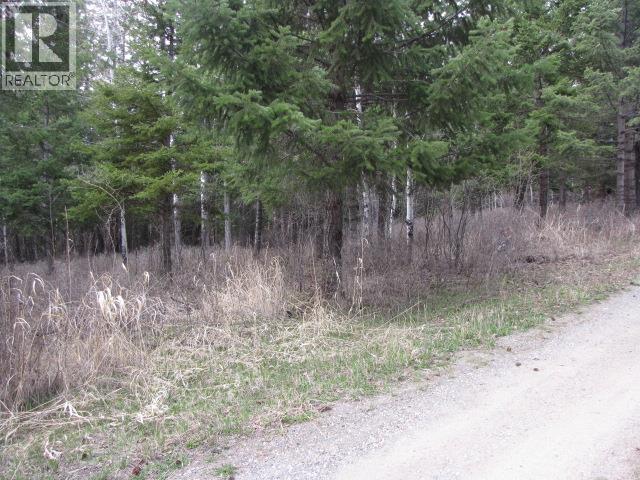 1261 Scheffler Road, 150 Mile House, British Columbia  V0K 2G0 - Photo 16 - R3115754