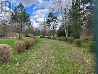 3569 Bethesda Road, Whitchurch-Stouffville, Ontario  L4A 7X5 - Photo 12 - N13071212