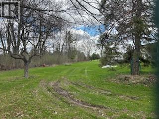 3569 Bethesda Road, Whitchurch-Stouffville, Ontario  L4A 7X5 - Photo 13 - N13071212