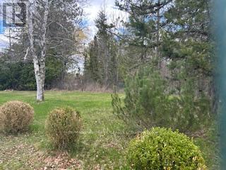 3569 Bethesda Road, Whitchurch-Stouffville, Ontario  L4A 7X5 - Photo 18 - N13071212
