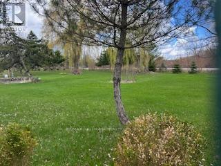 3569 Bethesda Road, Whitchurch-Stouffville, Ontario  L4A 7X5 - Photo 19 - N13071212