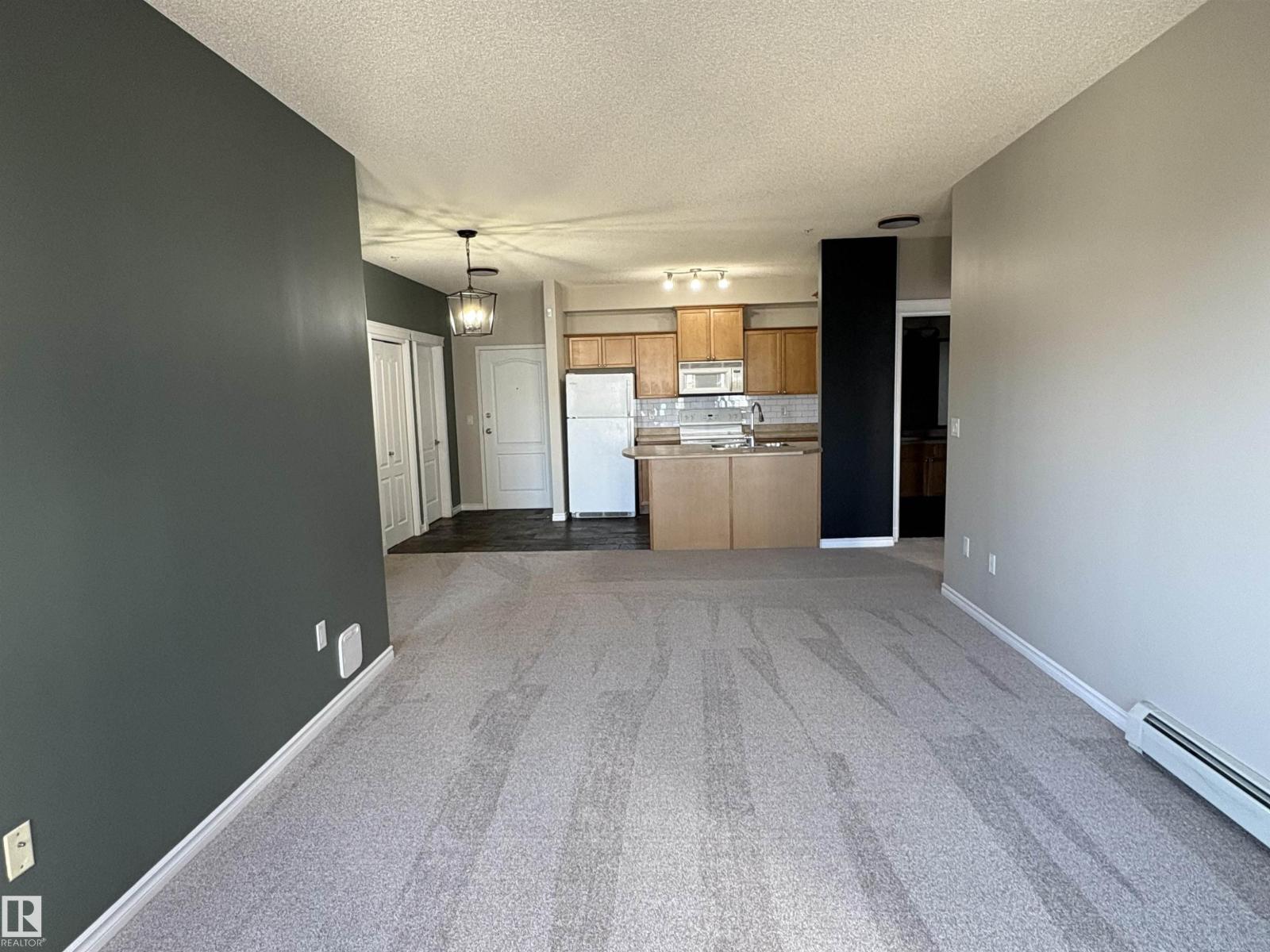 #224 16807 100 Av Nw, Edmonton, Alberta  T5P 4Z6 - Photo 13 - E4485272