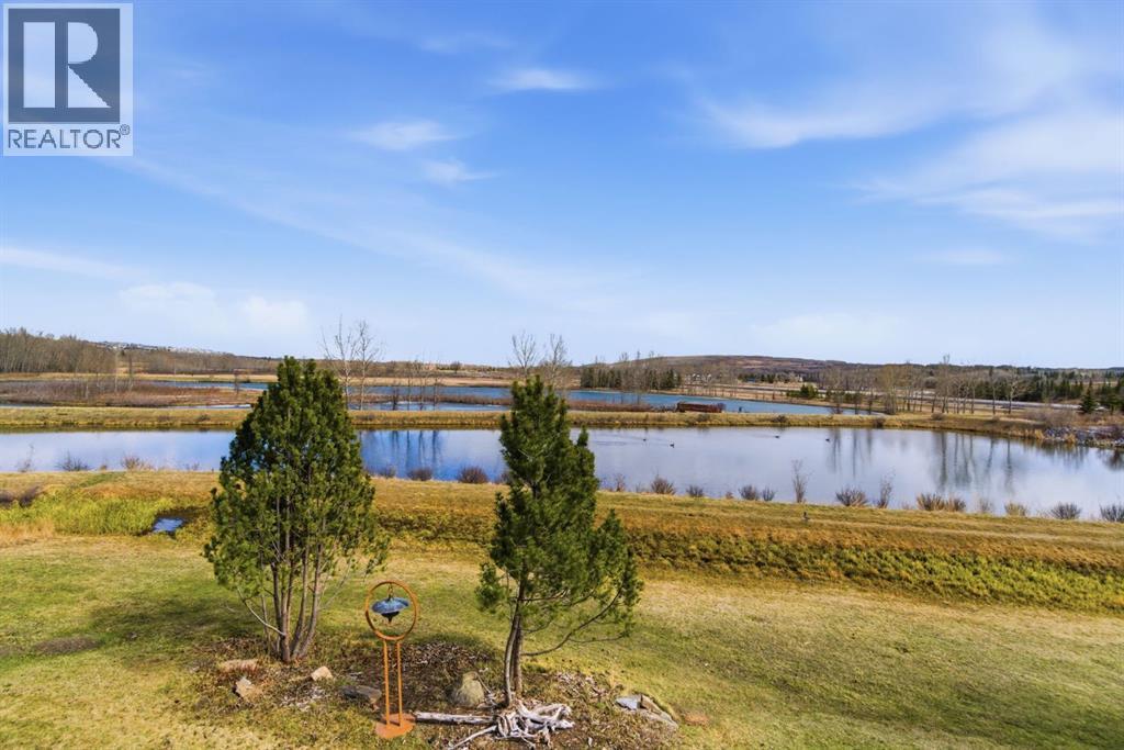 320 Clearwater Cove, Rural Rocky View County, Alberta  T3Z 3T8 - Photo 39 - A2286122
