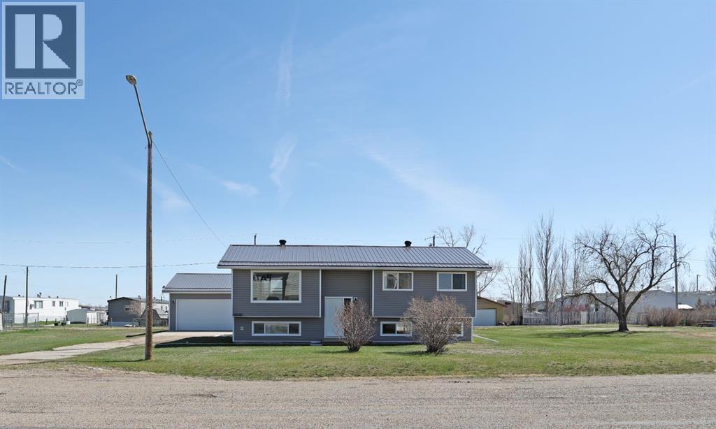 213 Centre Street, Patricia, Alberta  T0J 2K0 - Photo 1 - A2306525