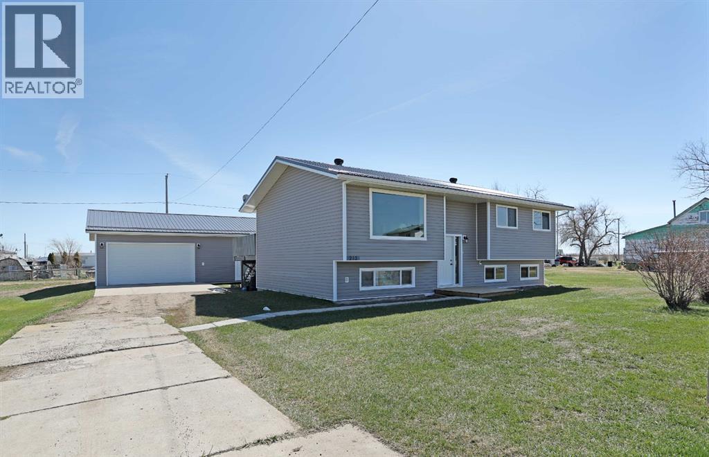 213 Centre Street, Patricia, Alberta  T0J 2K0 - Photo 2 - A2306525