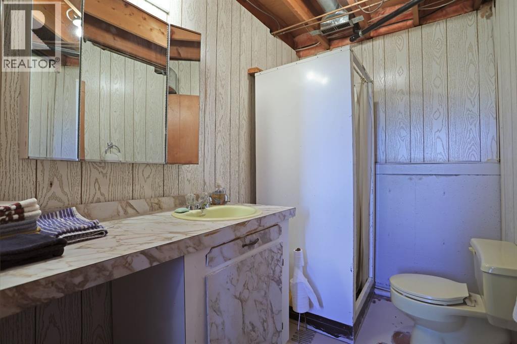213 Centre Street, Patricia, Alberta  T0J 2K0 - Photo 32 - A2306525