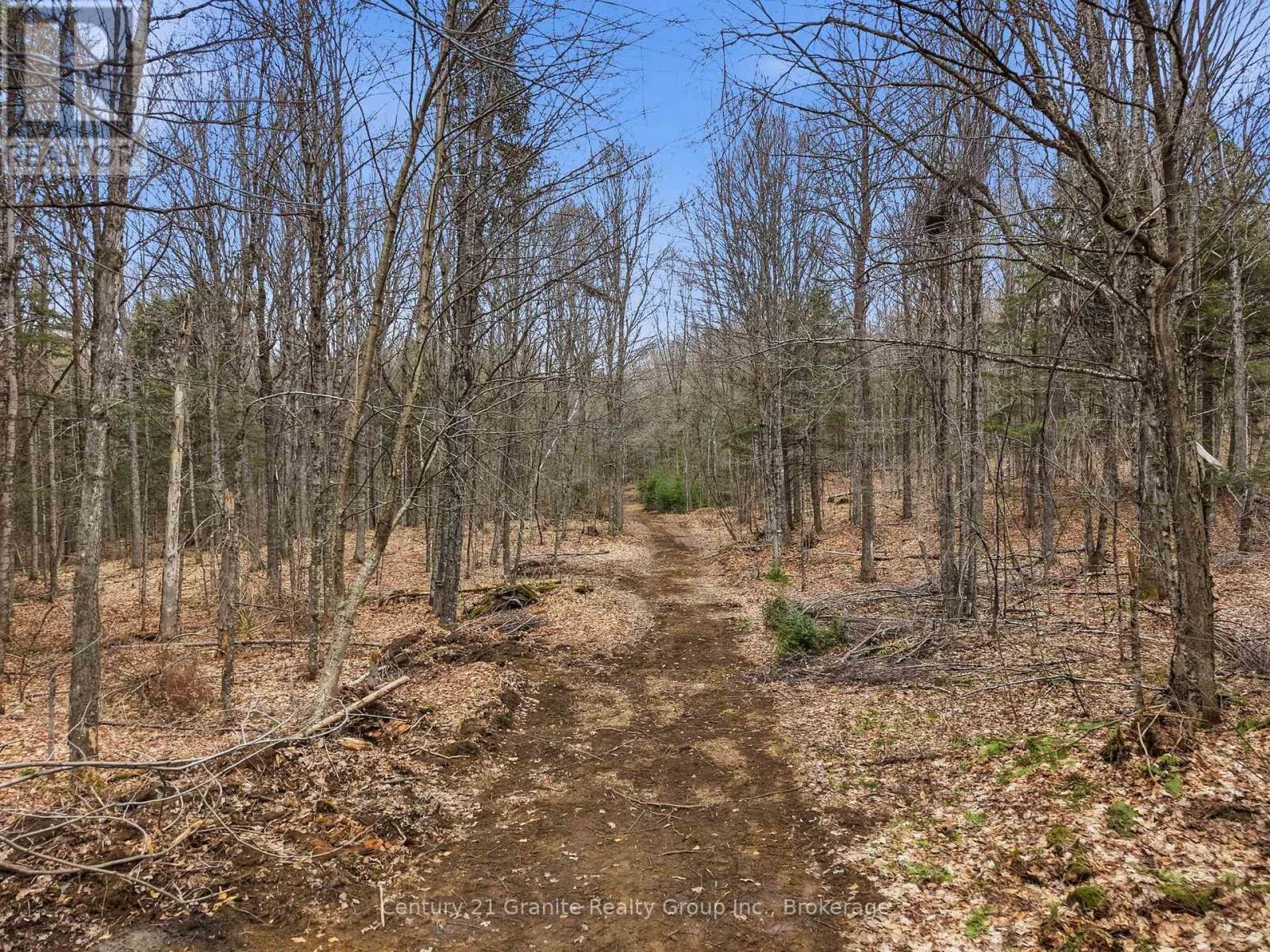 1314 Hunter Creek Road, Minden Hills, Ontario  K0M 2K0 - Photo 29 - X13071716