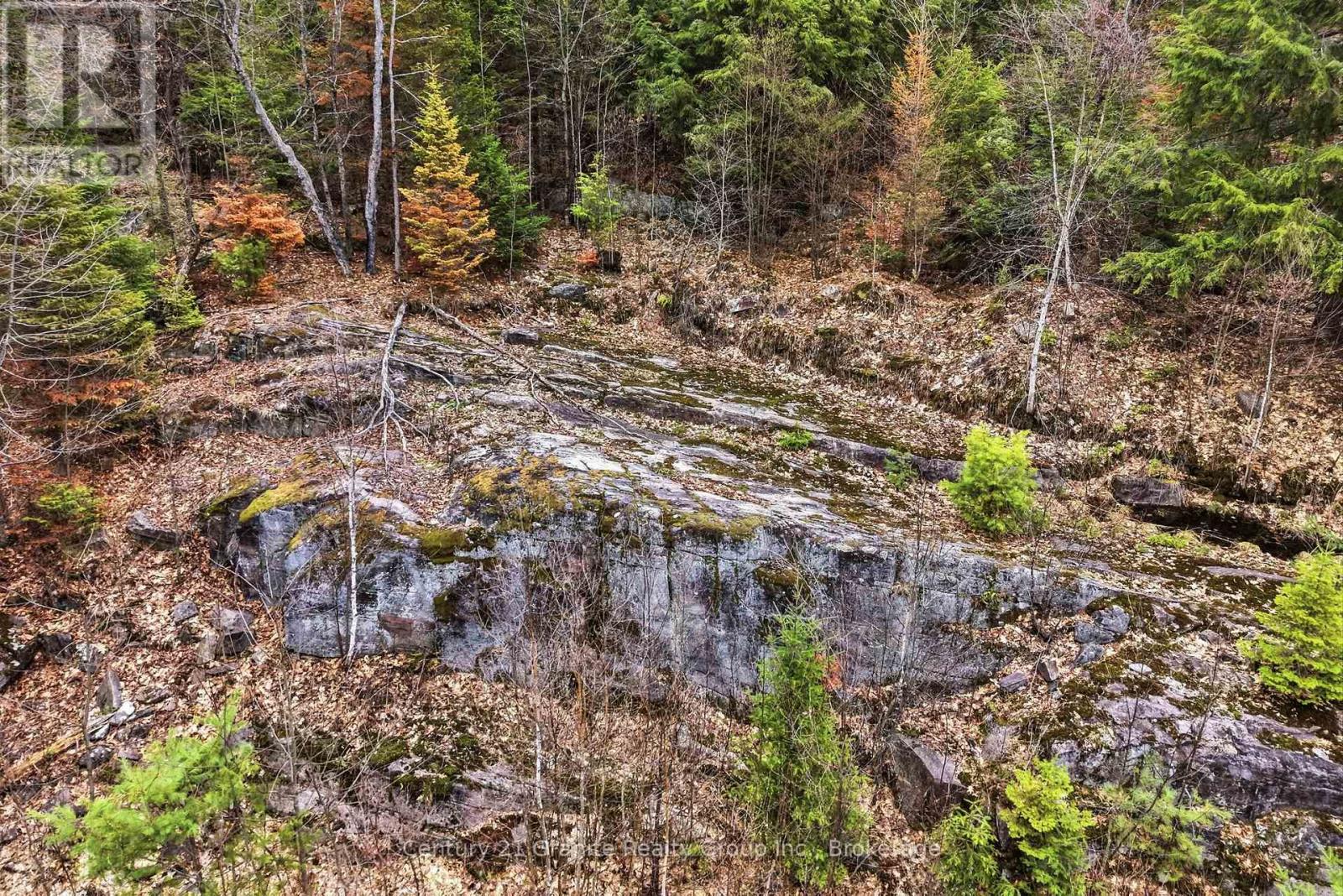 1314 Hunter Creek Road, Minden Hills, Ontario  K0M 2K0 - Photo 37 - X13071716