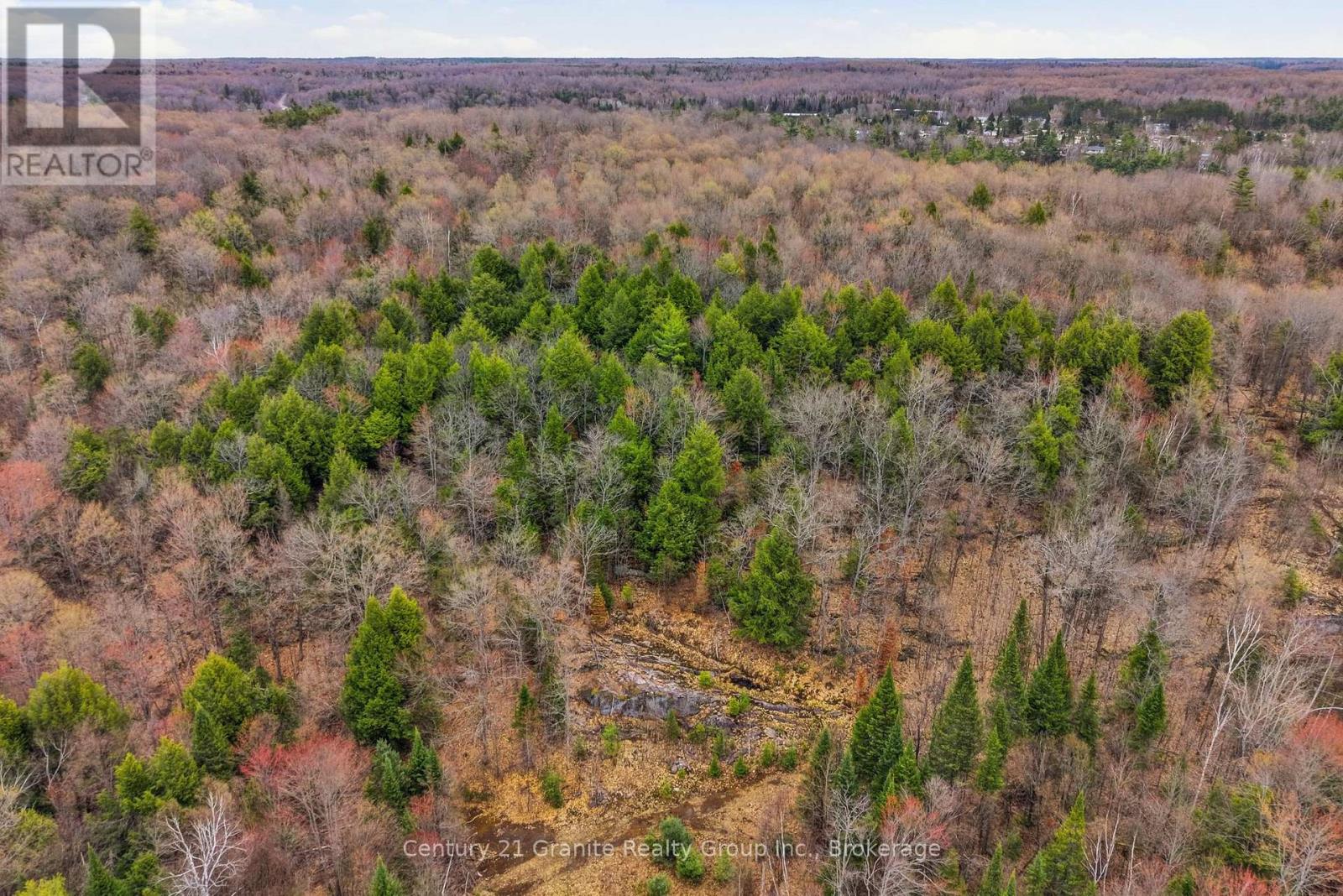 1314 Hunter Creek Road, Minden Hills, Ontario  K0M 2K0 - Photo 38 - X13071716