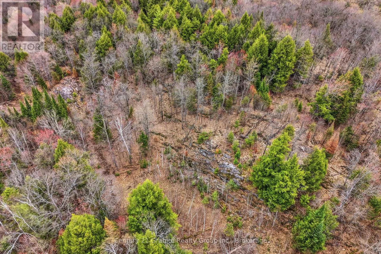 1314 Hunter Creek Road, Minden Hills, Ontario  K0M 2K0 - Photo 39 - X13071716