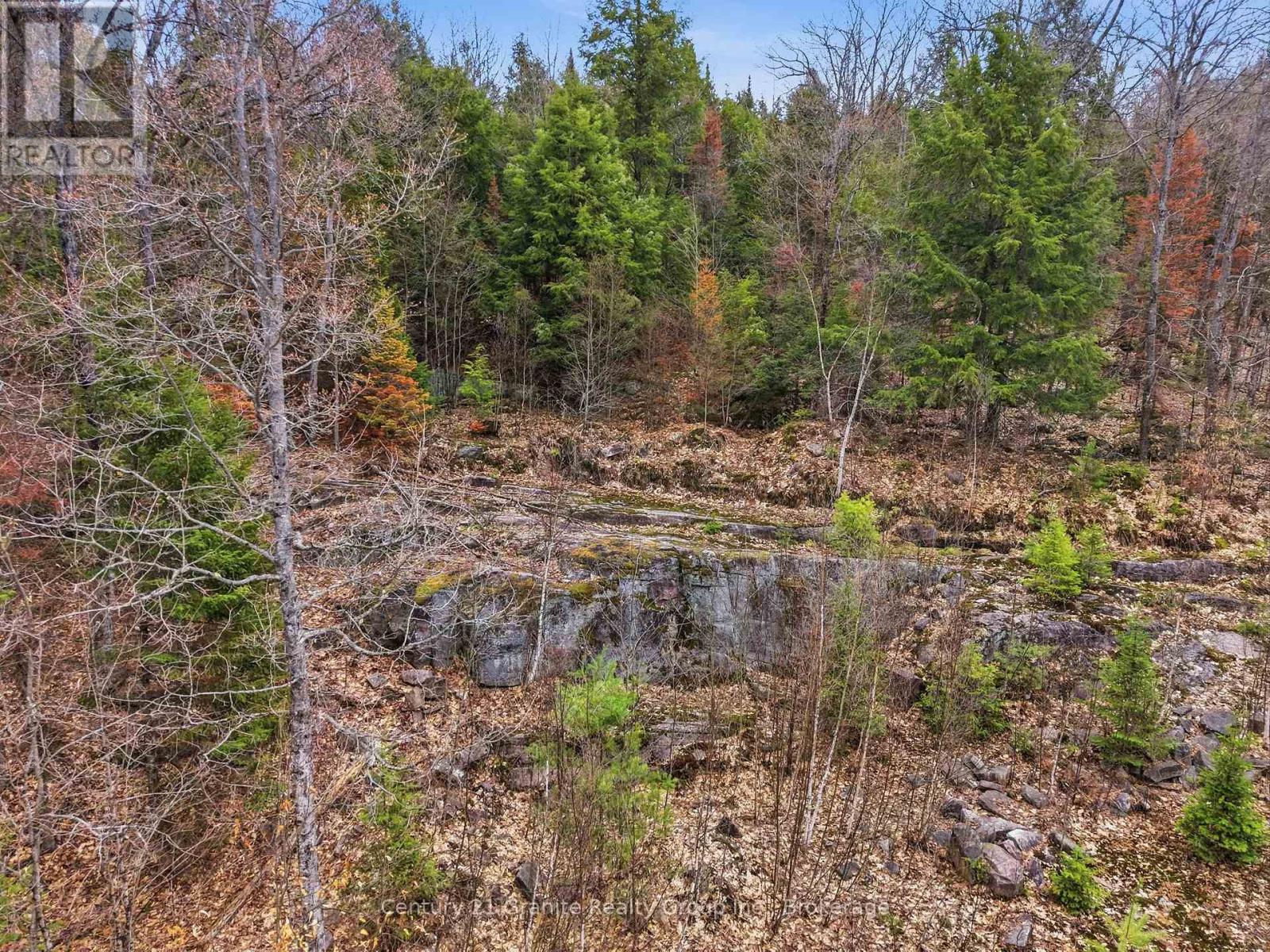 1314 Hunter Creek Road, Minden Hills, Ontario  K0M 2K0 - Photo 40 - X13071716