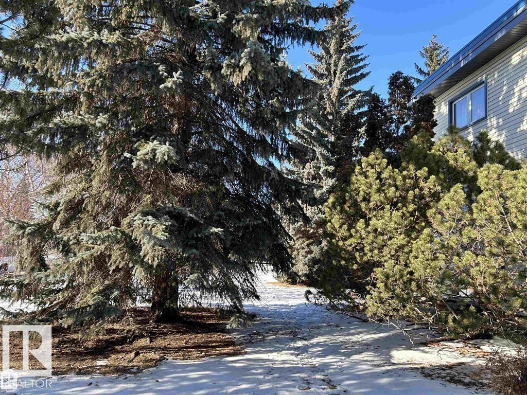 #2 6920 101 Av Nw Nw, Edmonton, Alberta  T6A 0H7 - Photo 8 - E4485288