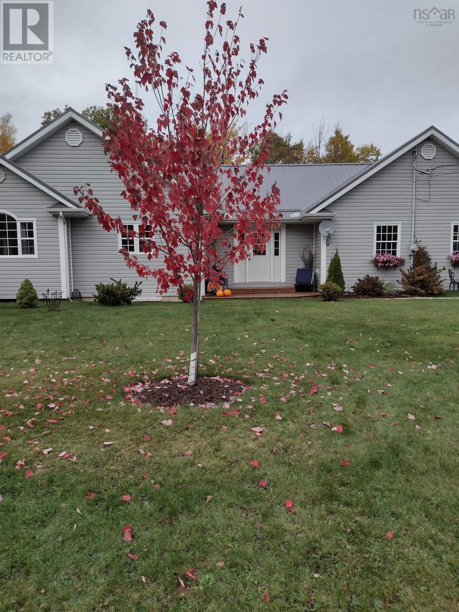 picture 46