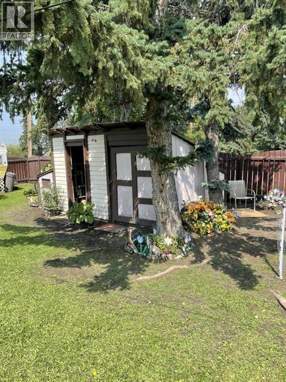 4630 53 Street, Mayerthorpe, Alberta  T0E 1N0 - Photo 14 - A2304141