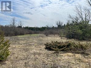 Lot 138 Bourne Road, Beckwith, Ontario  K7A 4S7 - Photo 2 - X13072158