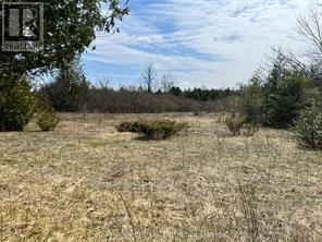 Lot 138 Bourne Road, Beckwith, Ontario  K7A 4S7 - Photo 5 - X13072158