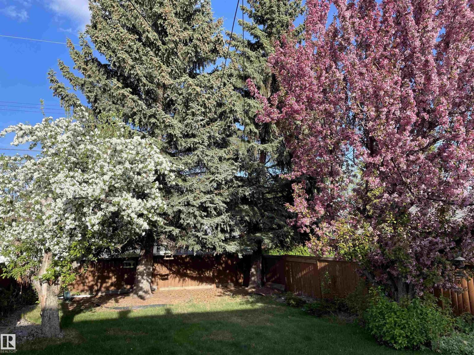 10927 146 St Nw, Edmonton, Alberta  T5N 3A8 - Photo 53 - E4485309
