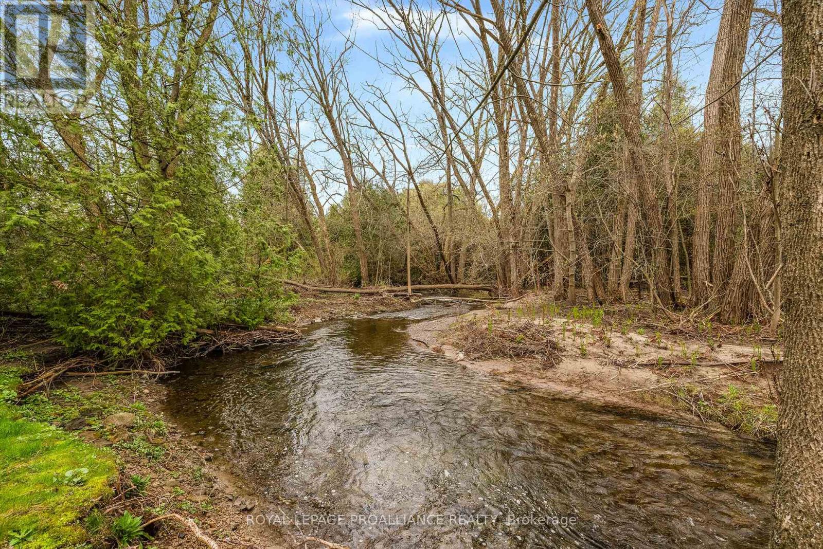 202 Prince Edward Street, Brighton, Ontario  K0K 1H0 - Photo 5 - X13070584