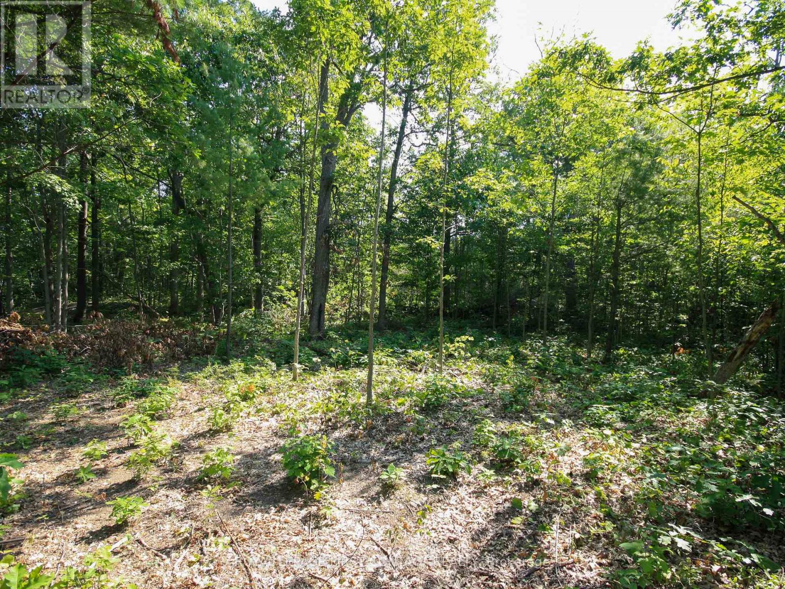 30 Birch Acres Drive, Georgian Bay (Baxter), Ontario  L0K 1S0 - Photo 30 - X13072340
