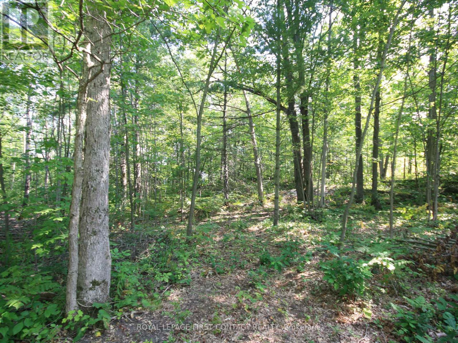 30 Birch Acres Drive, Georgian Bay (Baxter), Ontario  L0K 1S0 - Photo 31 - X13072340