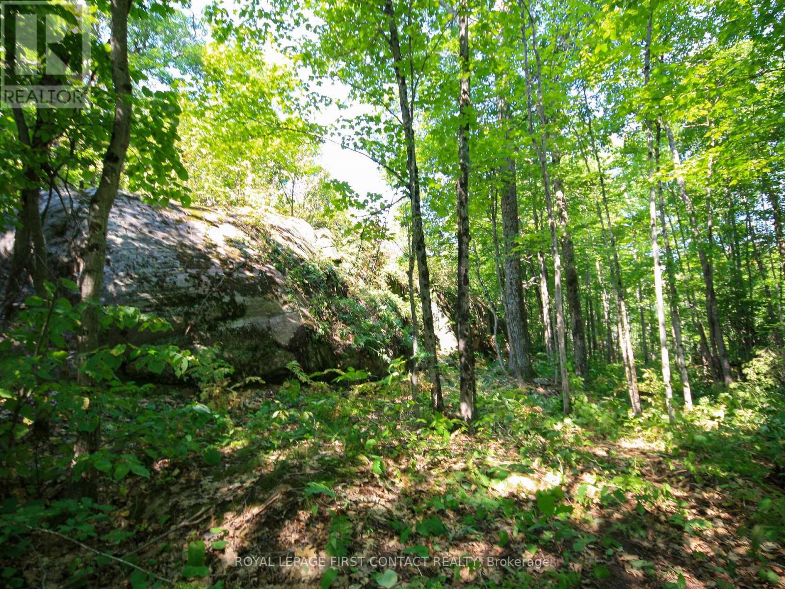 30 Birch Acres Drive, Georgian Bay (Baxter), Ontario  L0K 1S0 - Photo 33 - X13072340