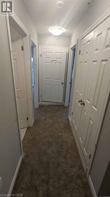 4 Oat Lane, Kitchener, Ontario  N2R 1R7 - Photo 10 - 40826360